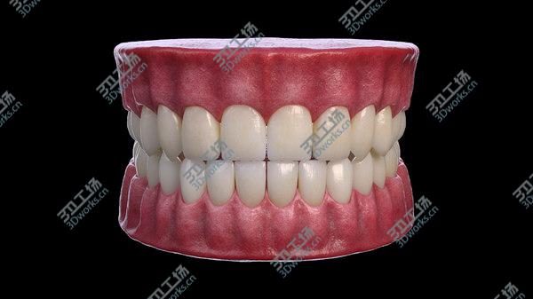 images/goods_img/20210312/Mouth 3D model/5.jpg